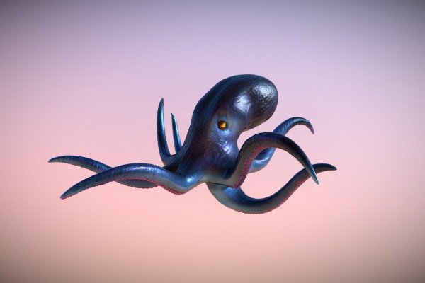 Kraken 6 at