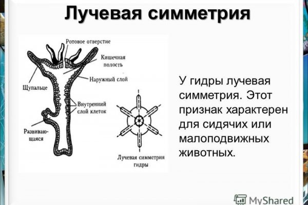 Кракен сайт at